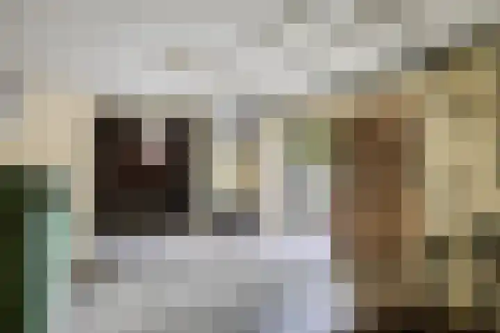 Lelielaan 5 Veghel thumbnail 47