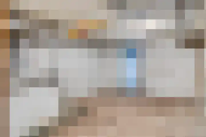 Lelielaan 5 Veghel thumbnail 49