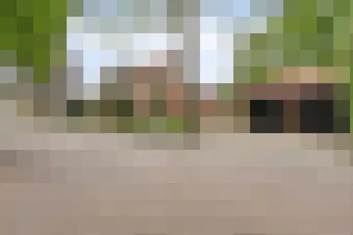Lelielaan 5 Veghel thumbnail 5
