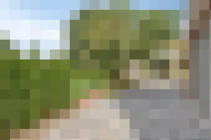 Lelielaan 5 Veghel thumbnail 53