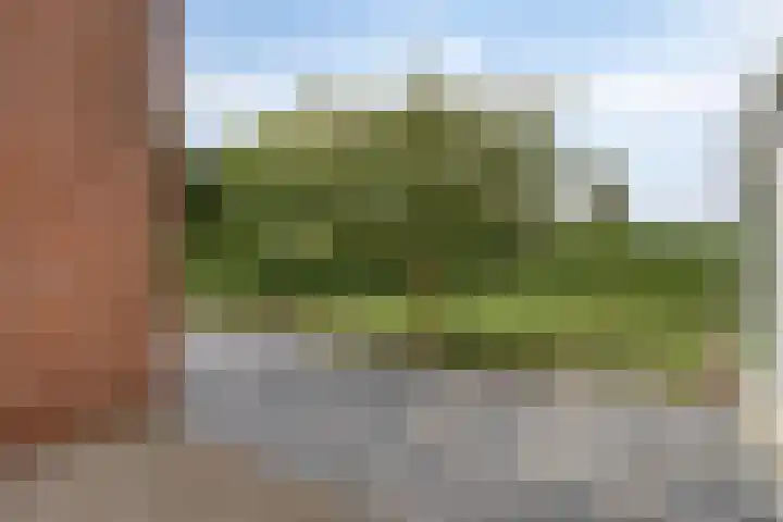 Lelielaan 5 Veghel thumbnail 54