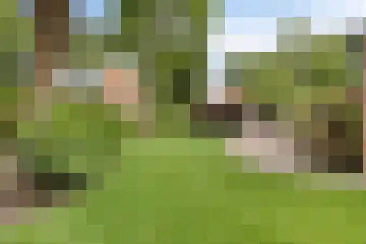 Lelielaan 5 Veghel thumbnail 57
