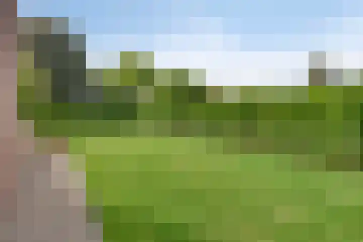 Lelielaan 5 Veghel thumbnail 58