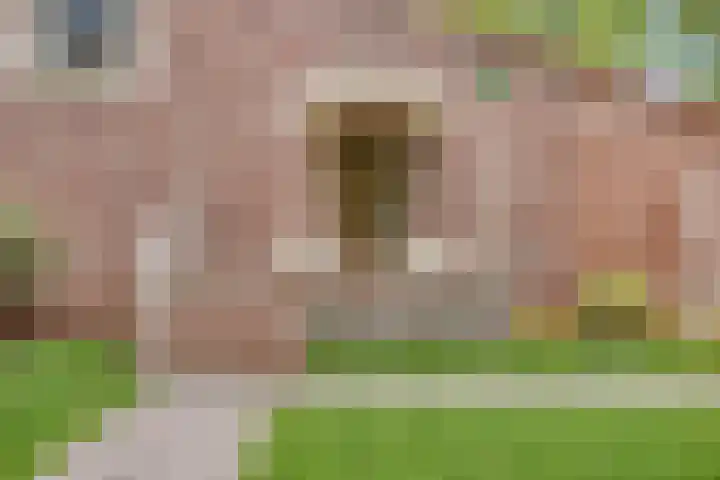 Lelielaan 5 Veghel thumbnail 6