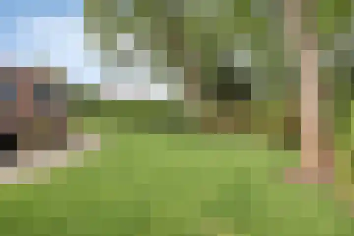 Lelielaan 5 Veghel thumbnail 60