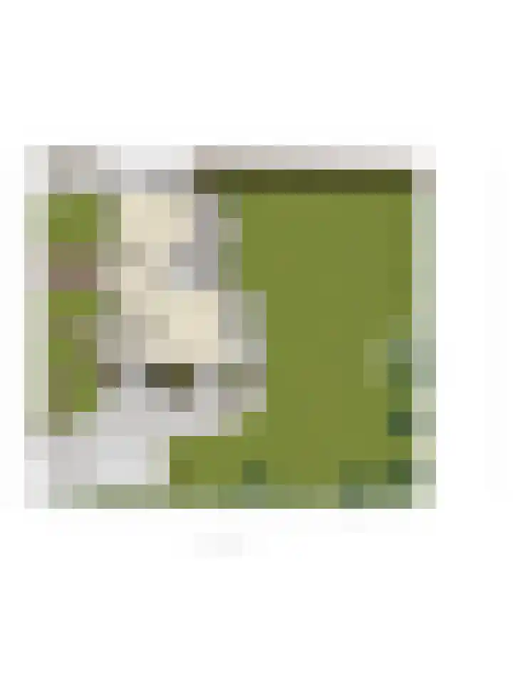 Lelielaan 5 Veghel thumbnail 64