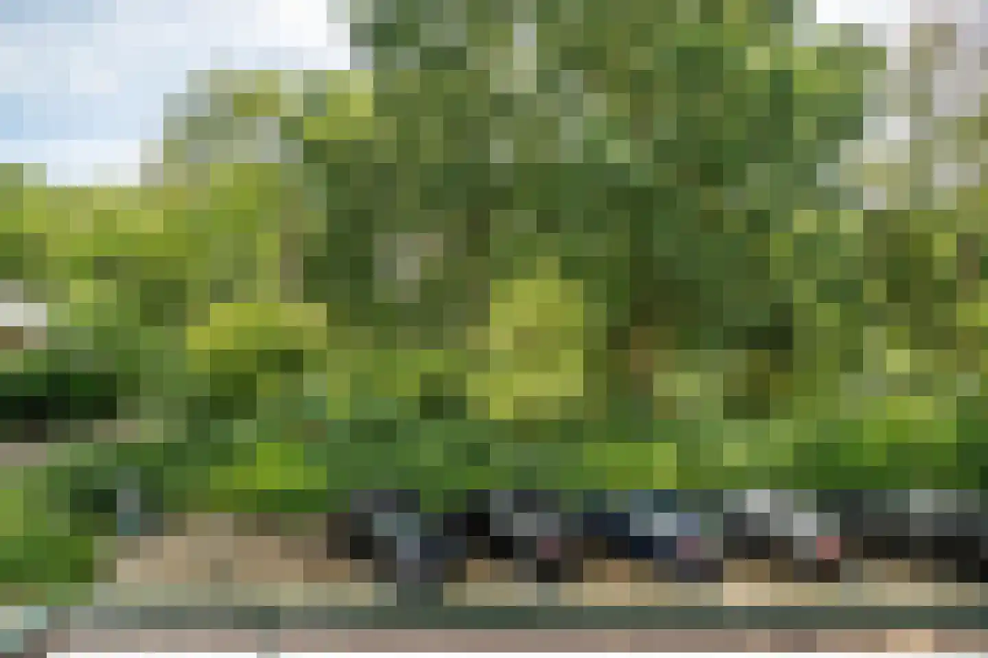 Lelielaan 59 Oegstgeest thumbnail 13