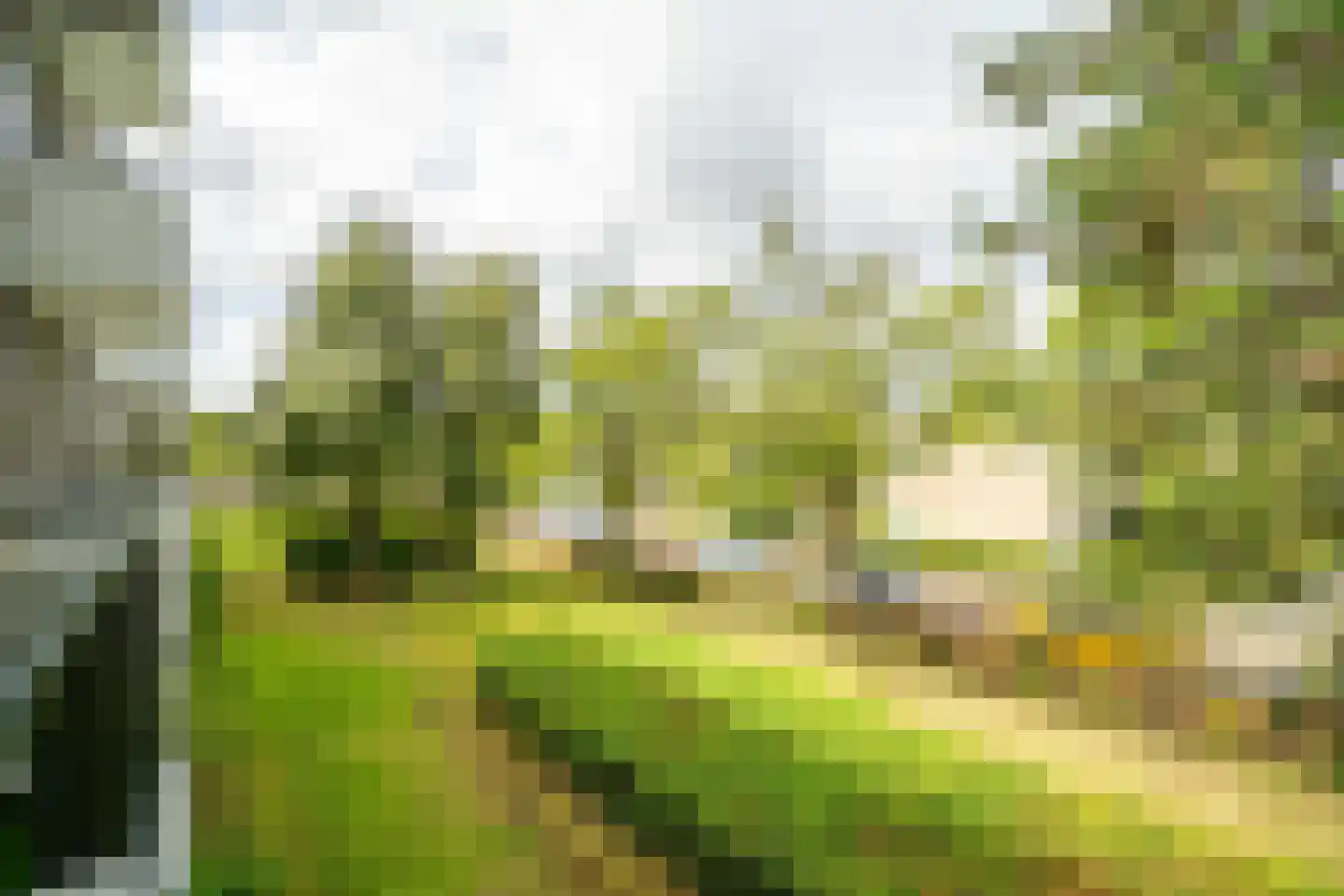 Lelielaan 59 Oegstgeest thumbnail 32