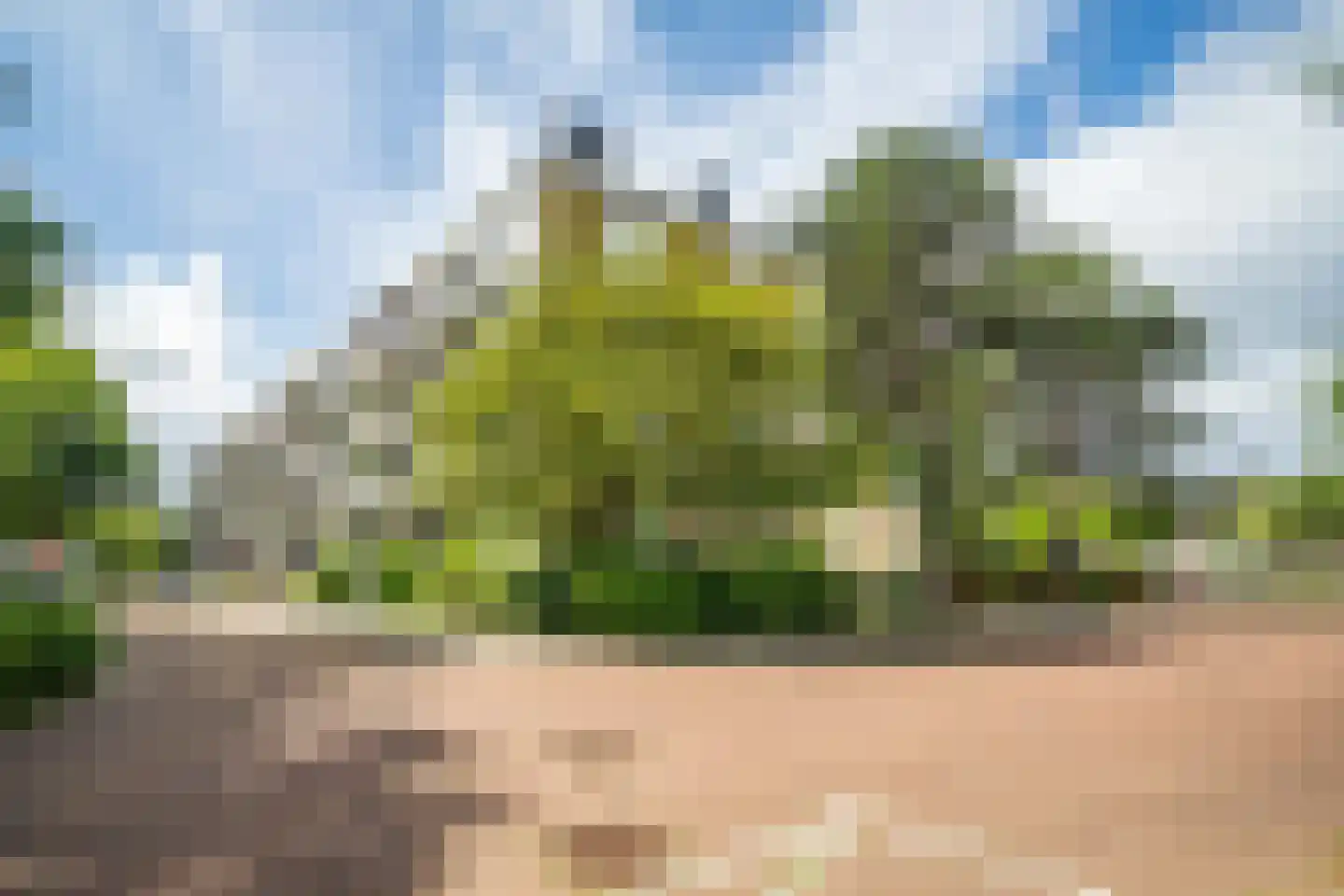 Lelielaan 59 Oegstgeest thumbnail 42