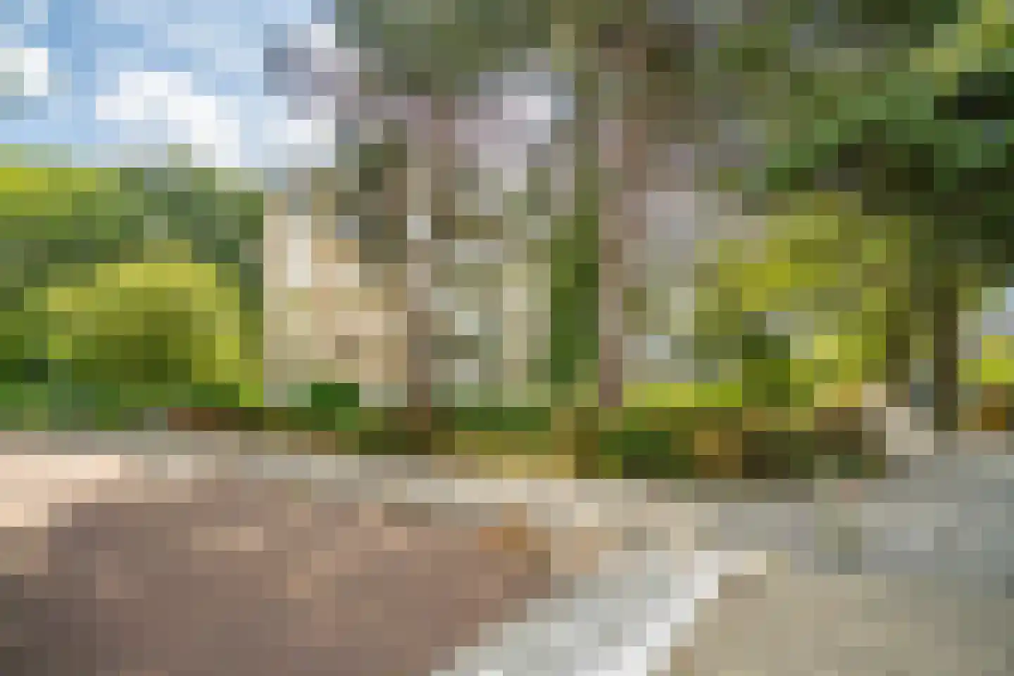 Lelielaan 59 Oegstgeest thumbnail 43
