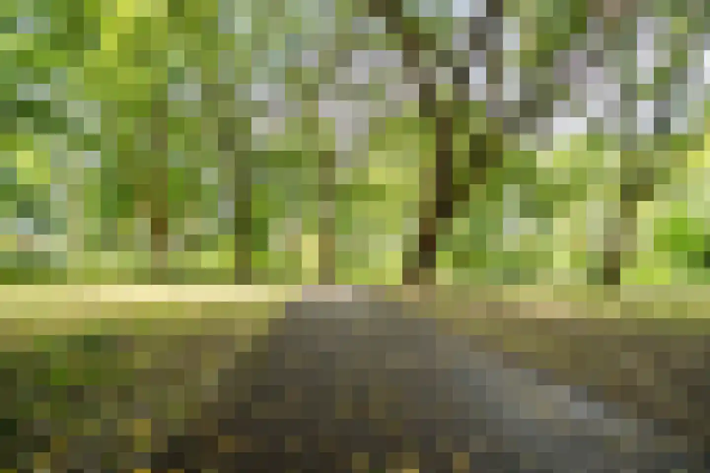 Lelielaan 59 Oegstgeest thumbnail 46
