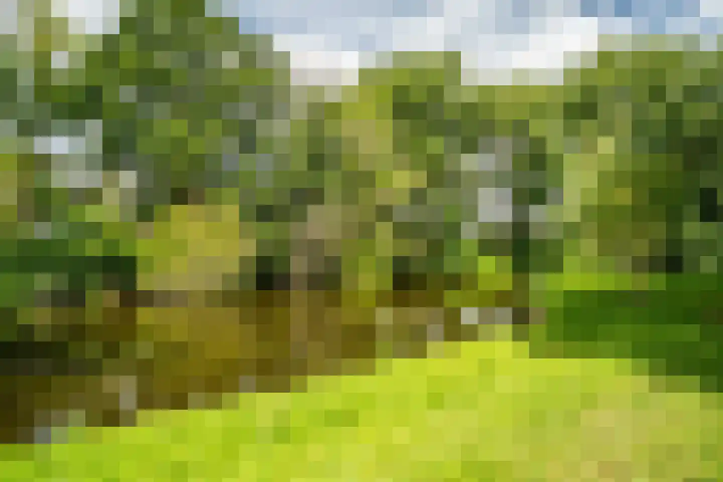 Lelielaan 59 Oegstgeest thumbnail 48