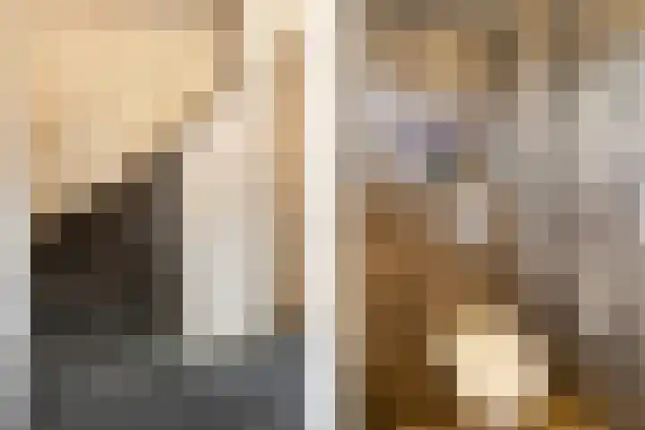 Leliëndaal 23 Ede thumbnail 19