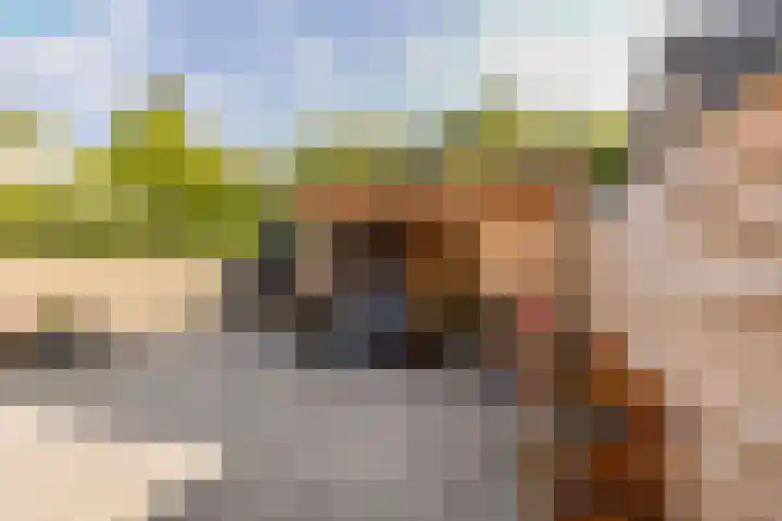 Leliëndaal 23 Ede thumbnail 4