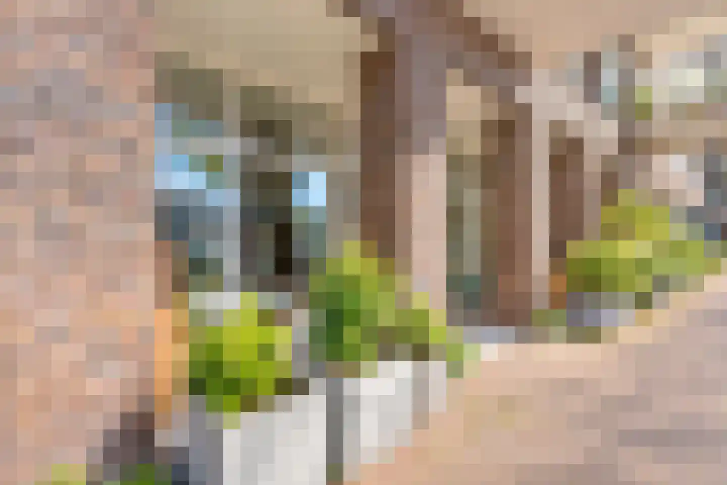 Leliendaalstraat 51 Amsterdam thumbnail 10