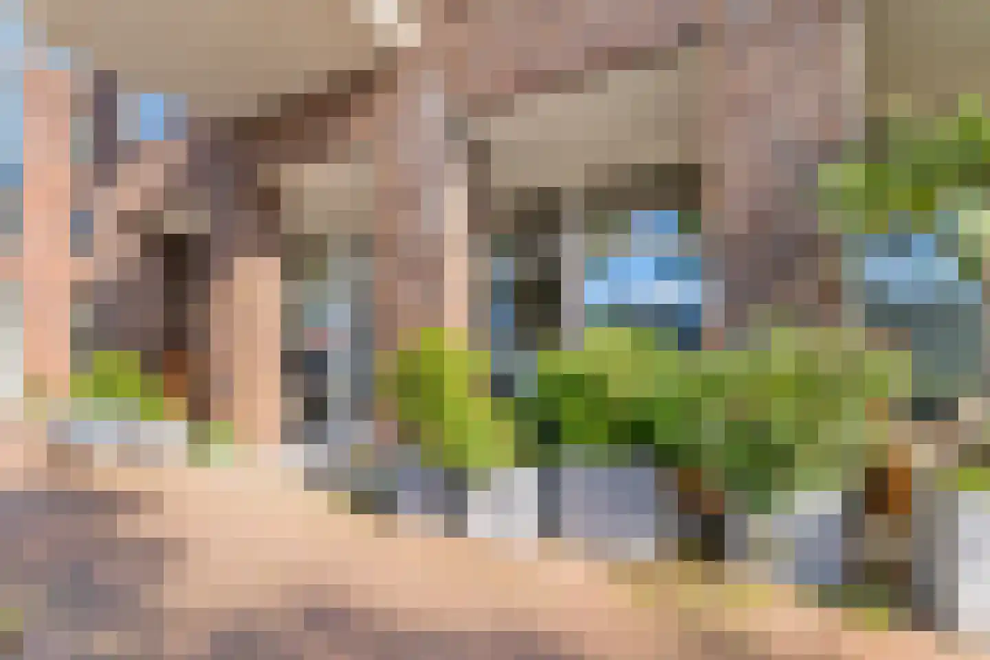 Leliendaalstraat 51 Amsterdam thumbnail 11
