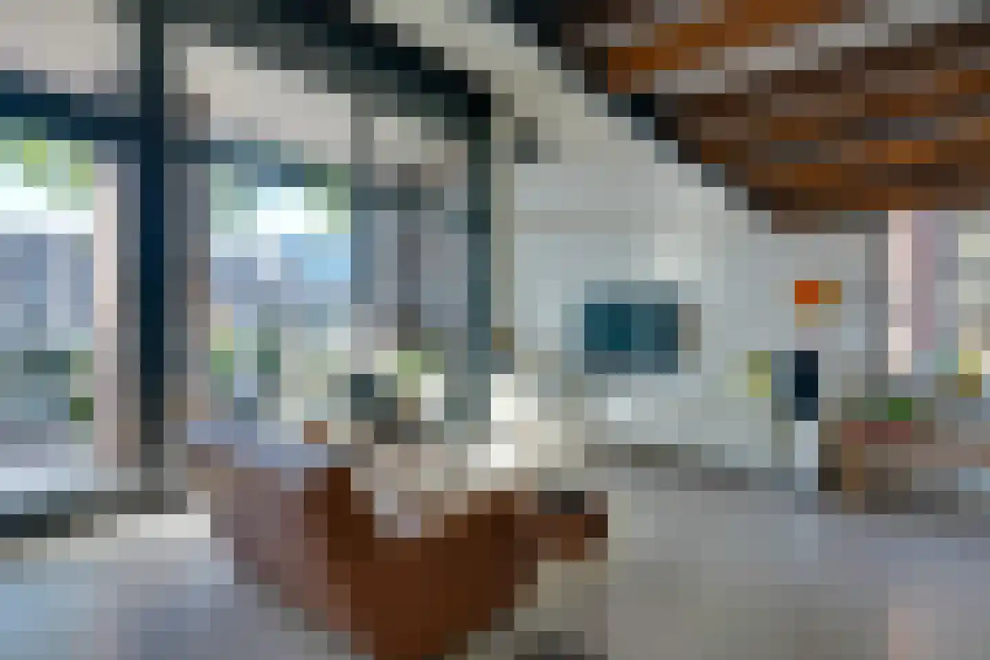 Leliendaalstraat 51 Amsterdam thumbnail 13