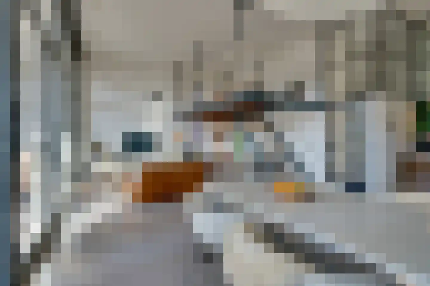 Leliendaalstraat 51 Amsterdam thumbnail 15