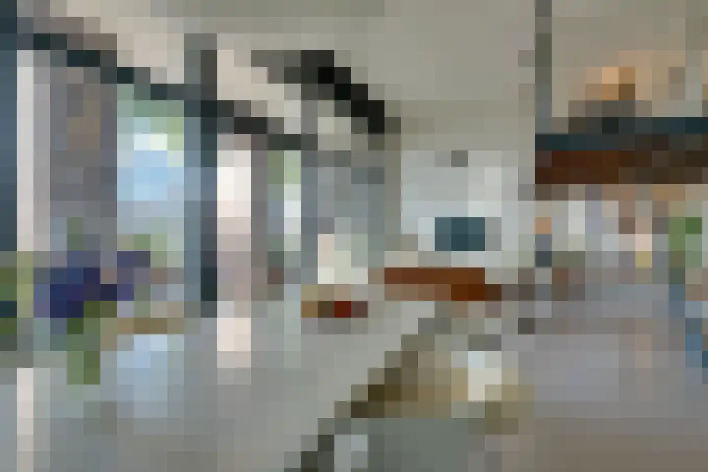 Leliendaalstraat 51 Amsterdam thumbnail 20