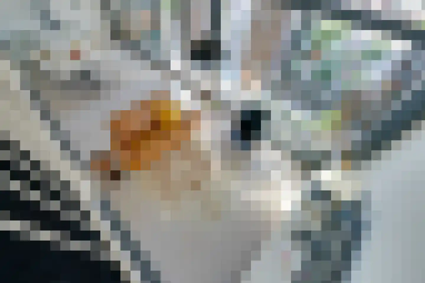 Leliendaalstraat 51 Amsterdam thumbnail 28