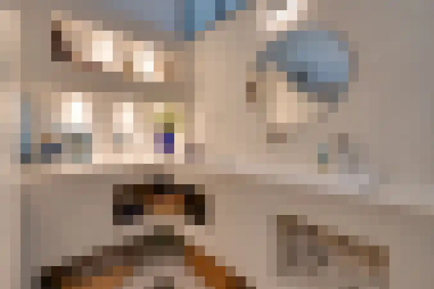 Leliendaalstraat 51 Amsterdam thumbnail 35