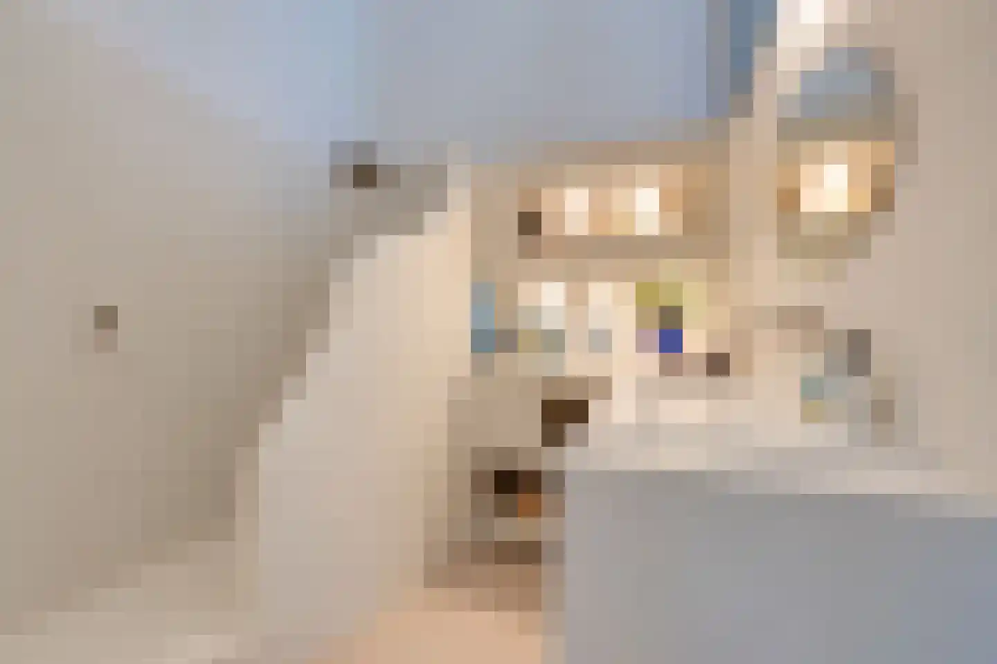 Leliendaalstraat 51 Amsterdam thumbnail 36