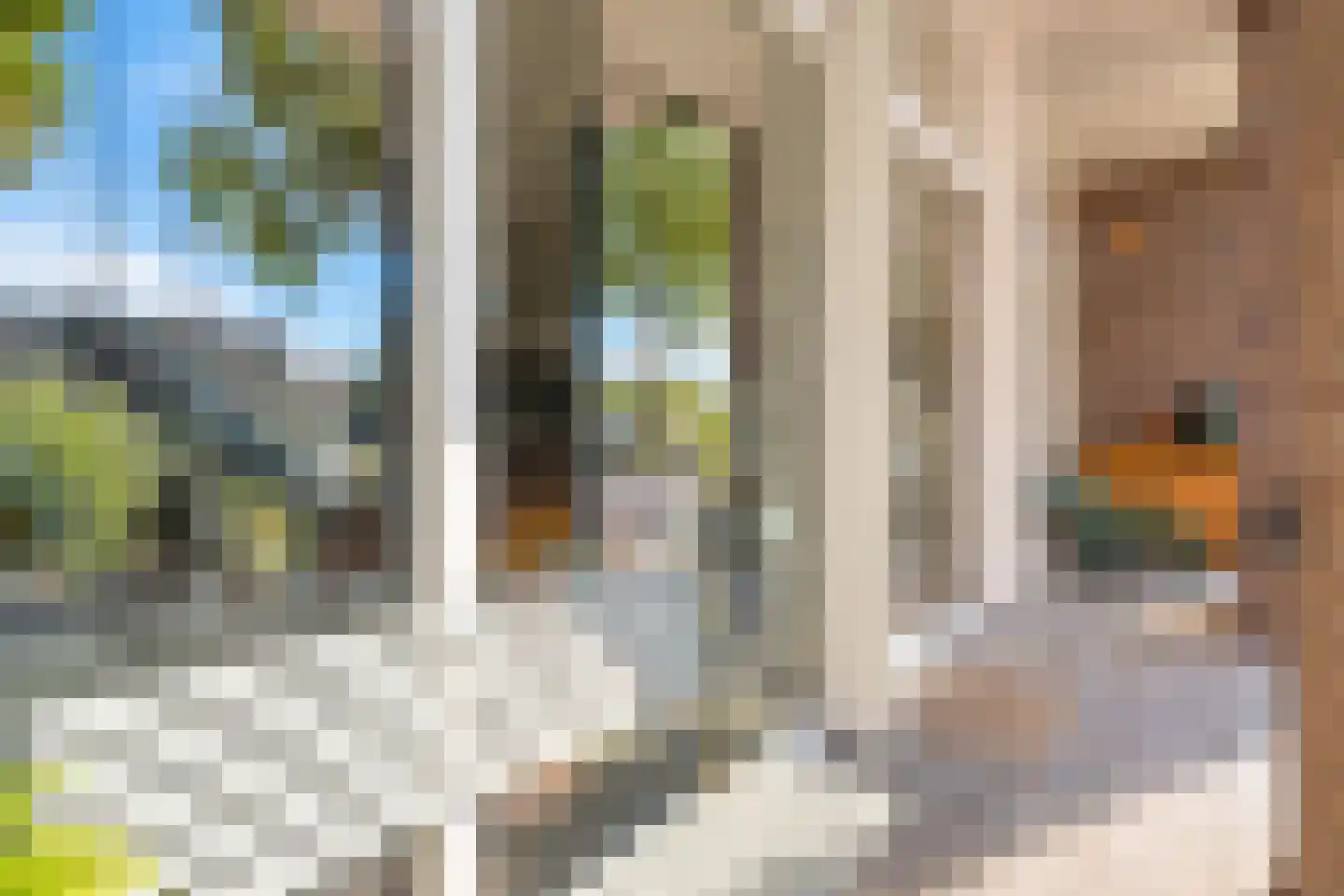 Leliendaalstraat 51 Amsterdam thumbnail 7