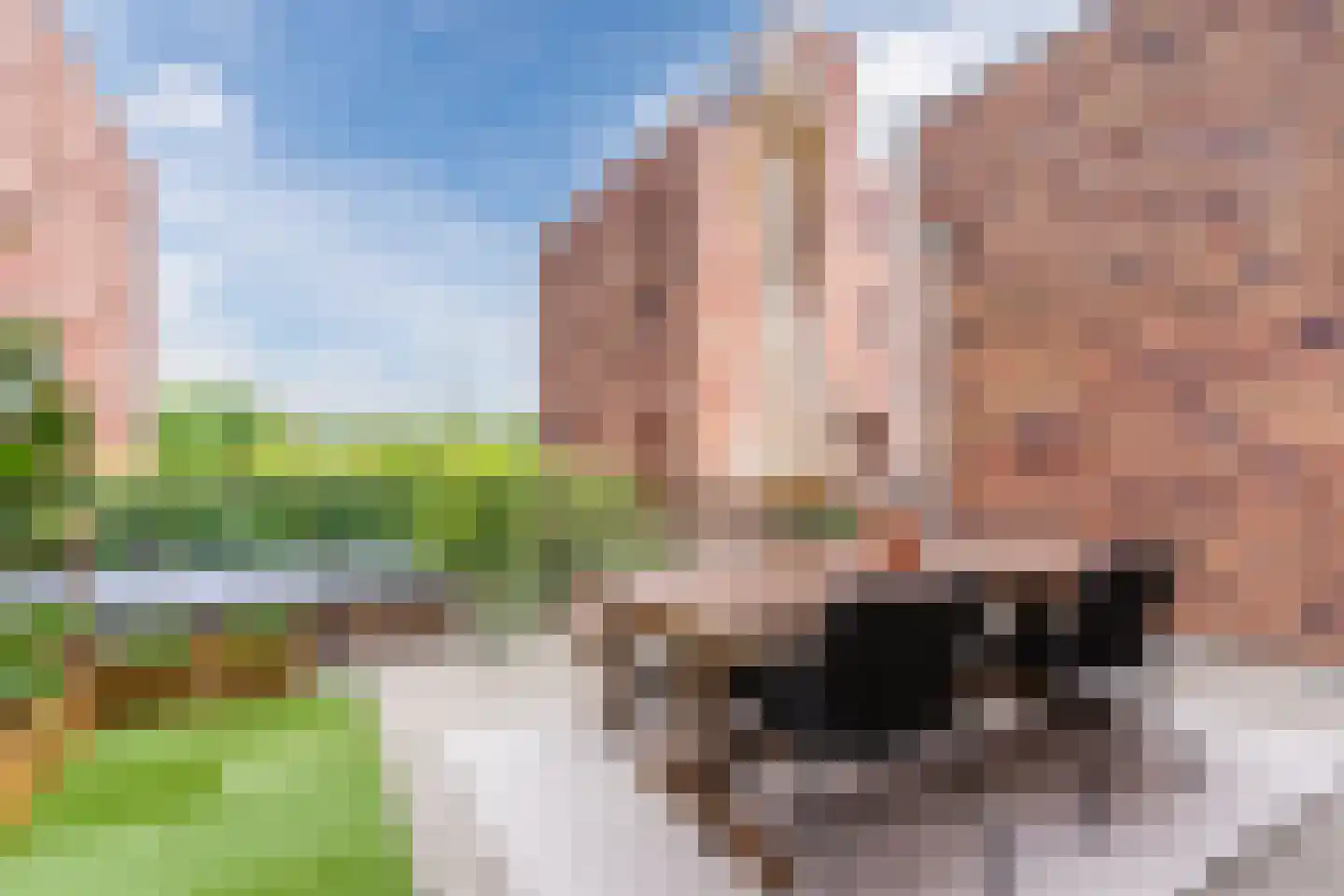 Leliënhuyze 10 's-Hertogenbosch thumbnail 17