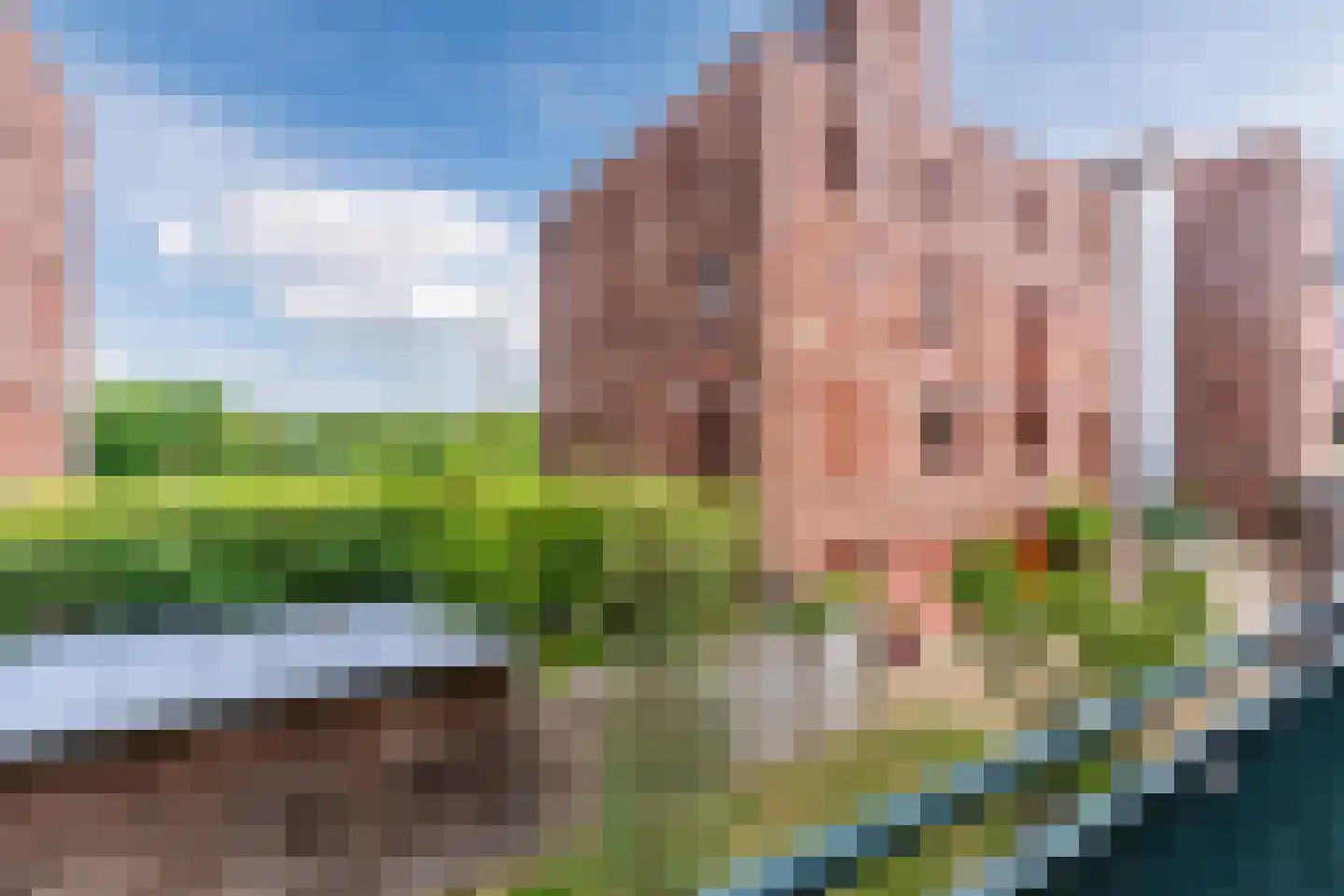 Leliënhuyze 10 's-Hertogenbosch thumbnail 20
