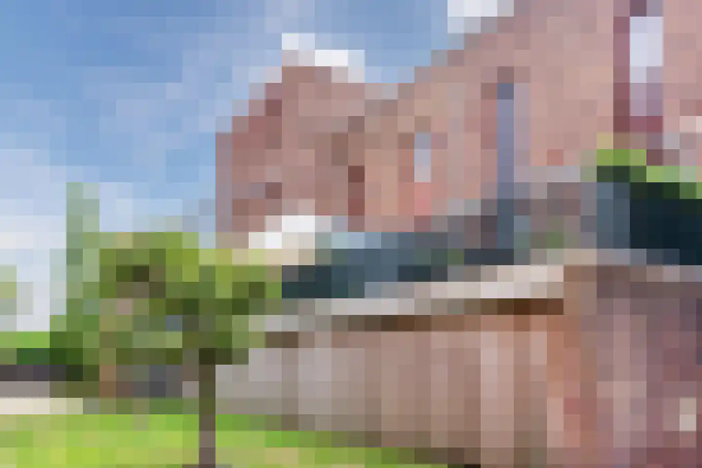 Leliënhuyze 10 's-Hertogenbosch thumbnail 51