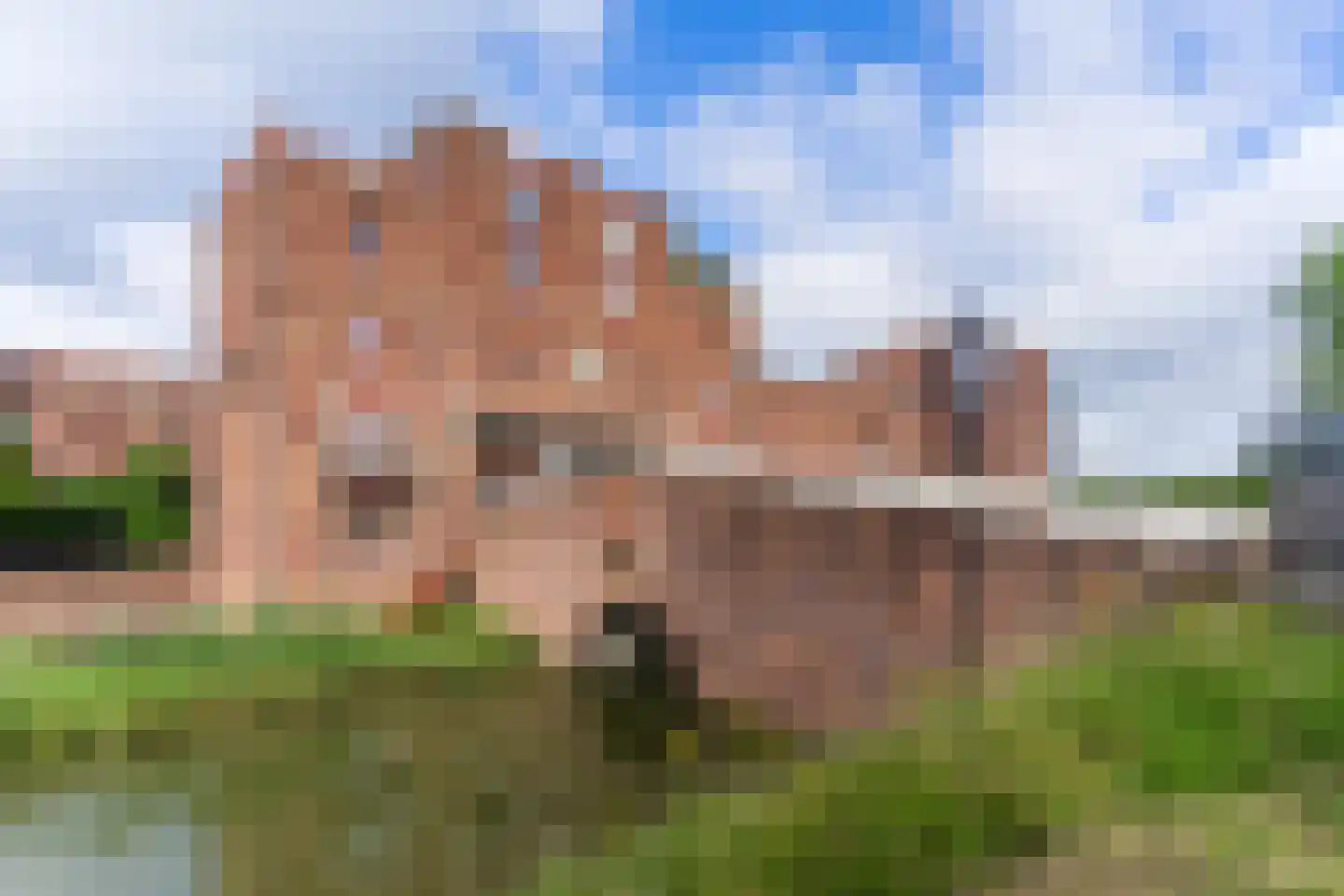 Leliënhuyze 10 's-Hertogenbosch thumbnail 59