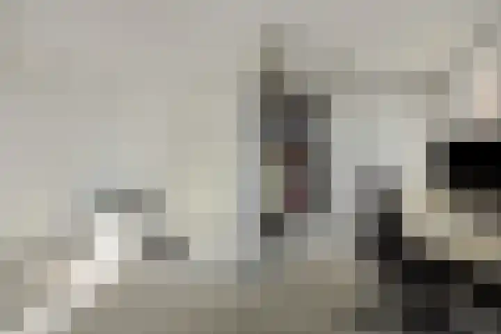 Leliënhuyze 29 's-Hertogenbosch thumbnail 31