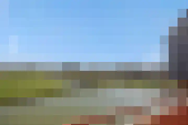 Leliënhuyze 29 's-Hertogenbosch thumbnail 37