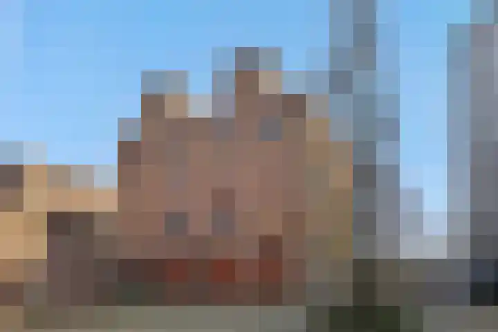 Leliënhuyze 29 's-Hertogenbosch thumbnail 38