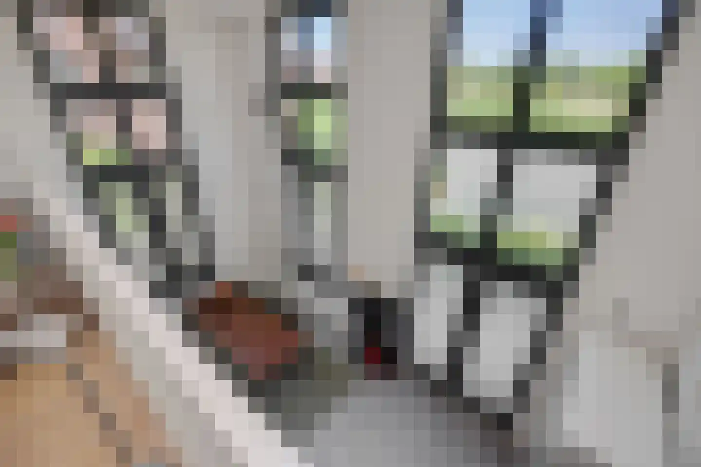 Leliënhuyze 3 's-Hertogenbosch thumbnail 15