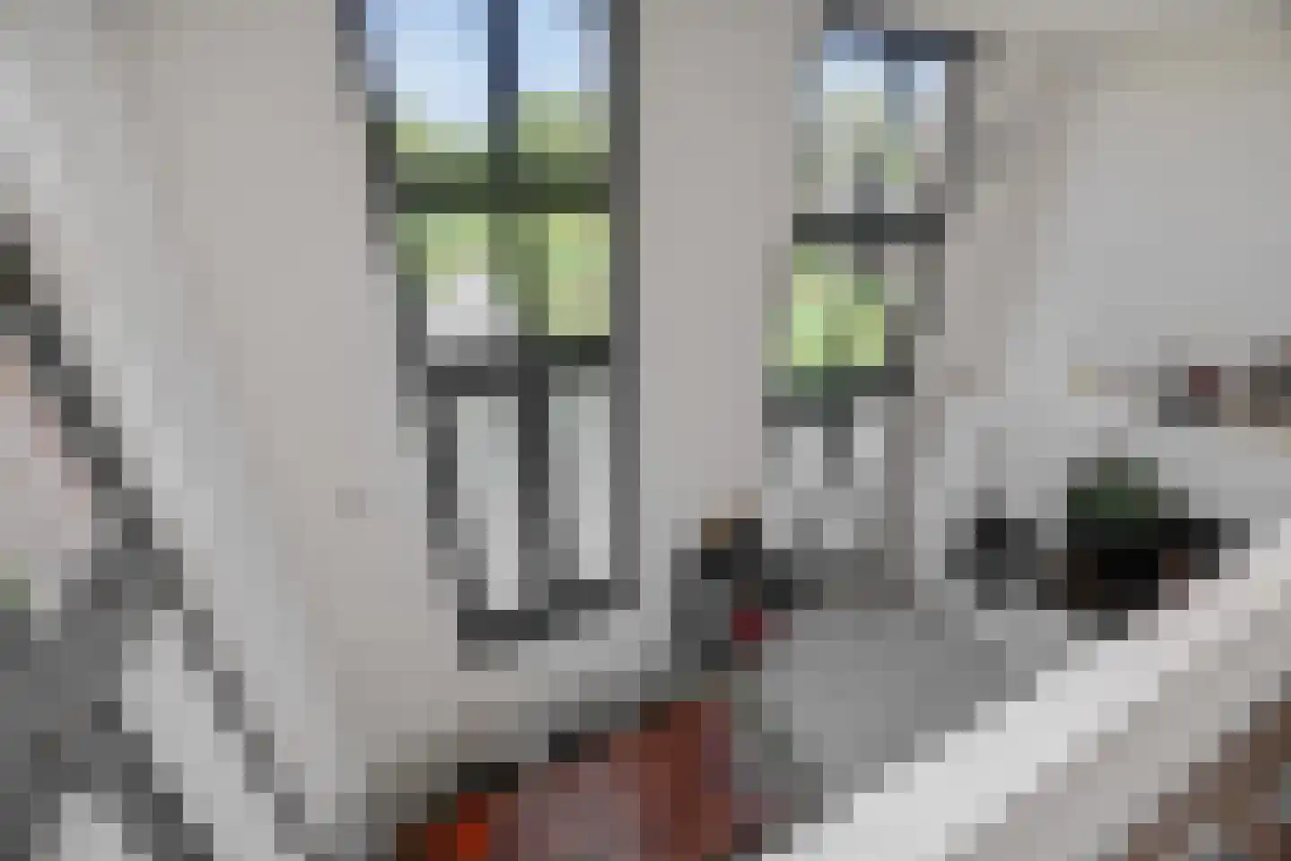 Leliënhuyze 3 's-Hertogenbosch thumbnail 16