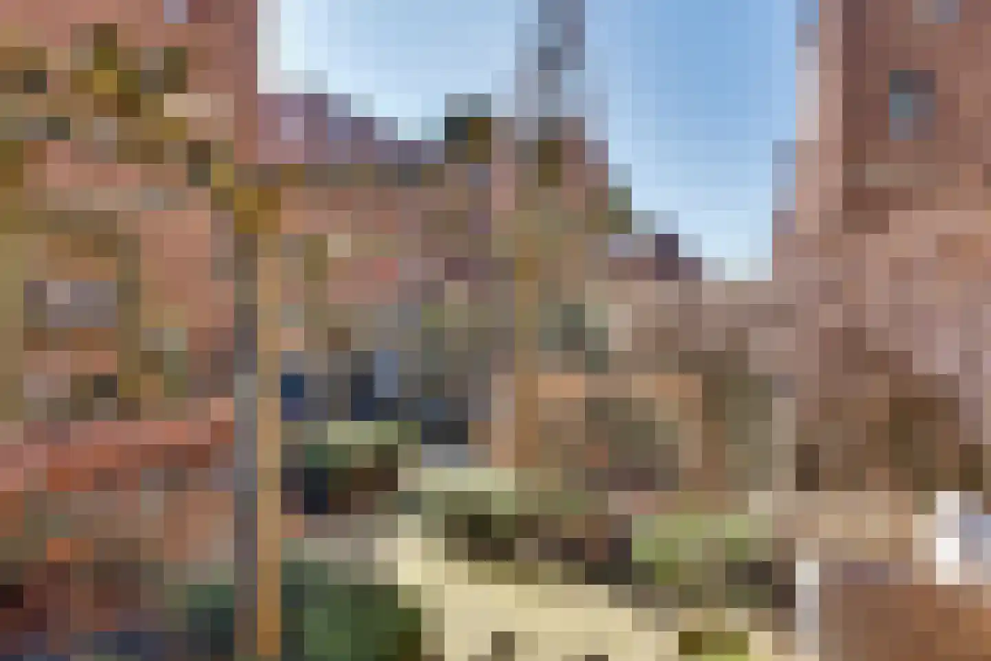 Leliënhuyze 3 's-Hertogenbosch thumbnail 31