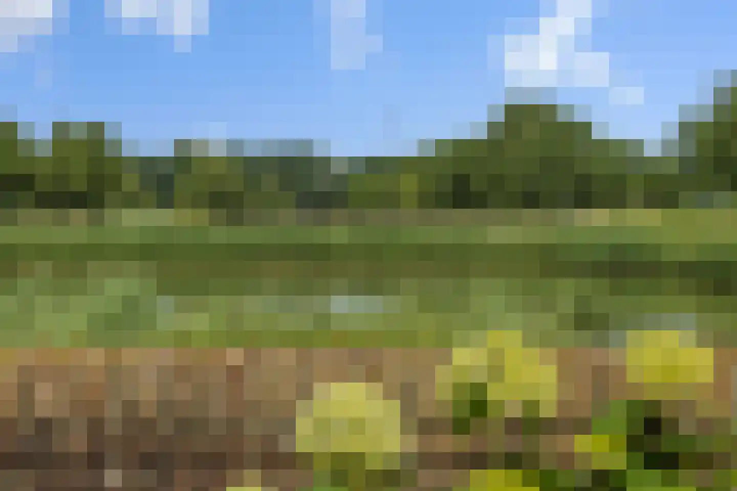 Leliënhuyze 3 's-Hertogenbosch thumbnail 36