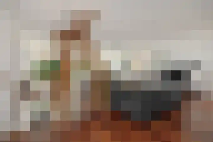 Leliënhuyze 31 's-Hertogenbosch thumbnail 10