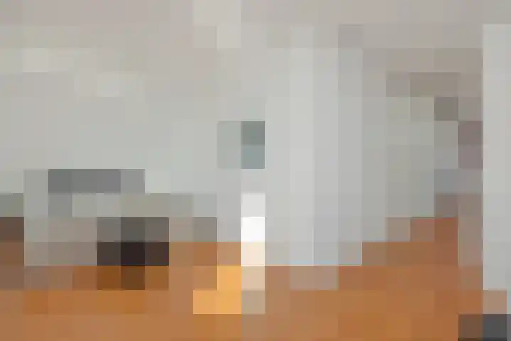Leliënhuyze 31 's-Hertogenbosch thumbnail 26