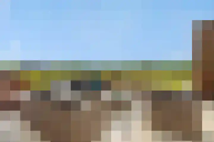 Leliënhuyze 31 's-Hertogenbosch thumbnail 30