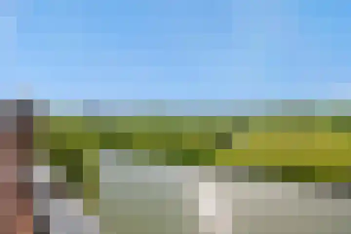Leliënhuyze 31 's-Hertogenbosch thumbnail 32