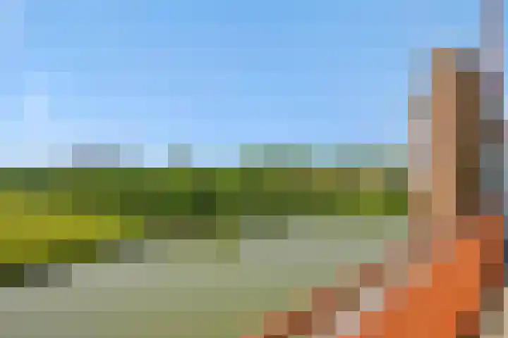 Leliënhuyze 31 's-Hertogenbosch thumbnail 33