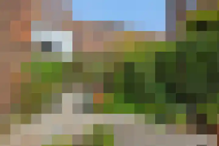 Leliënhuyze 31 's-Hertogenbosch thumbnail 37