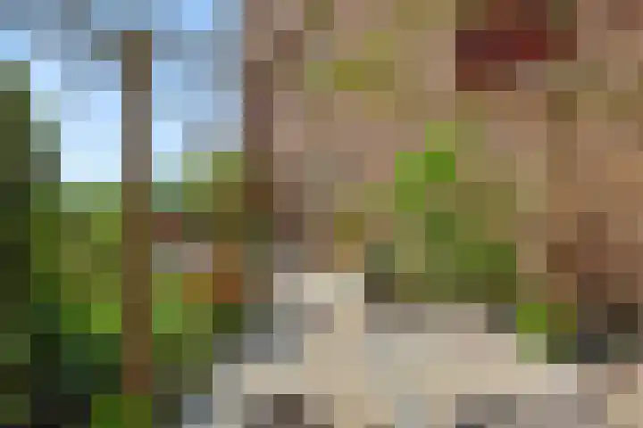 Leliënhuyze 31 's-Hertogenbosch thumbnail 38