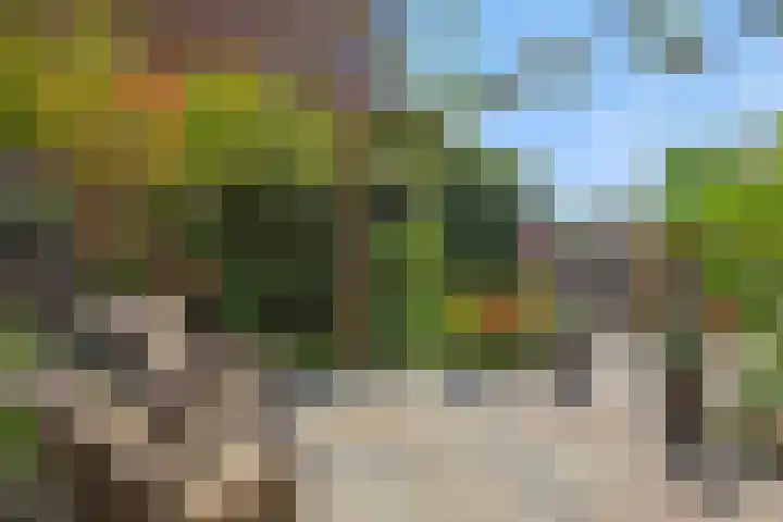 Leliënhuyze 31 's-Hertogenbosch thumbnail 39