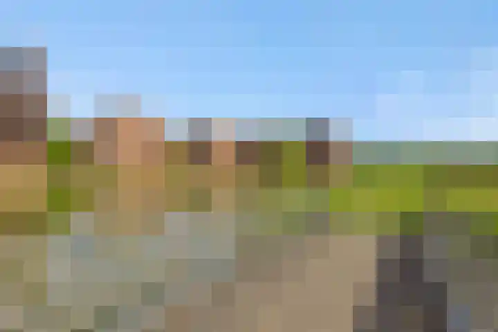 Leliënhuyze 31 's-Hertogenbosch thumbnail 43