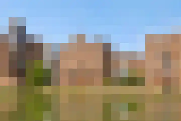 Leliënhuyze 31 's-Hertogenbosch thumbnail 45
