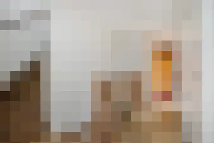Leliënhuyze 5 's-Hertogenbosch thumbnail 20