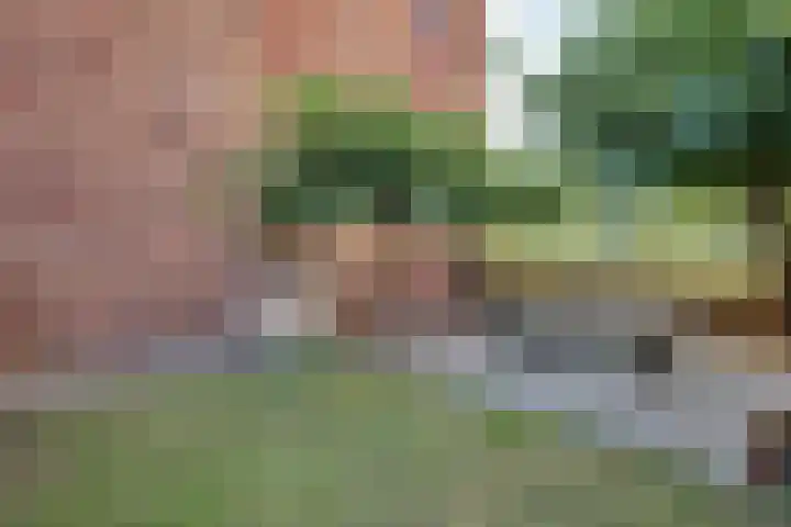 Leliënhuyze 5 's-Hertogenbosch thumbnail 31